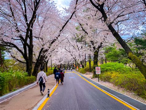 may 5월, 봄의 끝자락에서 만나는 한국의 아름다움