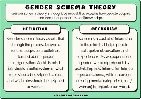 Schema Definition in Education: A Kaleidoscope of Perspectives